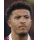 Profile picture of Jadon Sancho