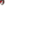 Profile picture of AFC Bournemouth