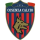 Profile picture of Cosenza Calcio