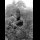 Profile picture of Pulau