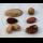 Profile picture of Nut (food)