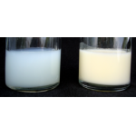 Profile picture of Breast milk
