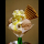 Profile picture of Ice cream
