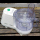 Profile picture of Food processor