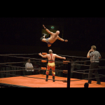 Profile picture of Professional wrestling