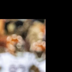 Profile picture of Evan McPherson