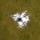 Profile picture of Water on Mars