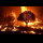 Profile picture of Wildfire