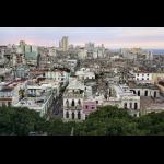 Profile picture of Havana
