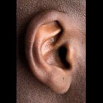 Profile picture of Ear