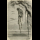 Profile picture of Hanging