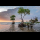Profile picture of Mangrove forest