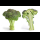Profile picture of broccoli