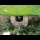 Profile picture of entrance